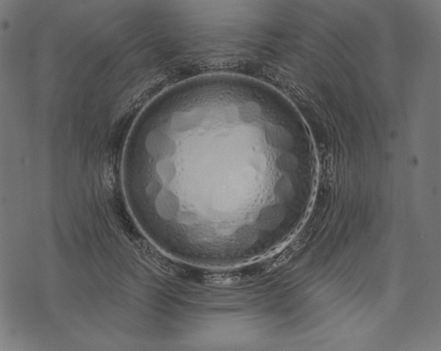 X0000073700746200608171112