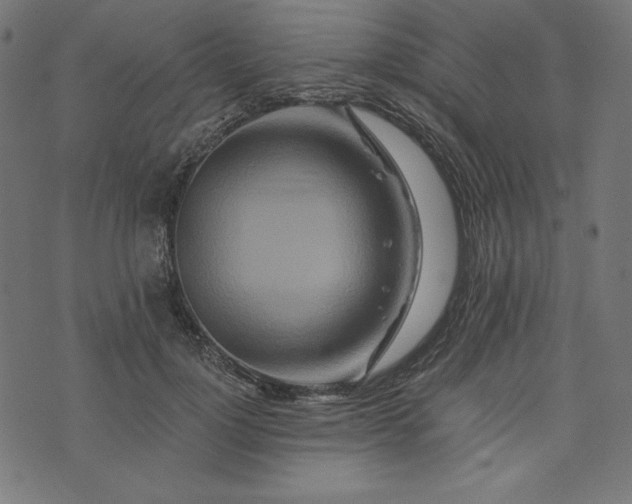 X0000073700748200608171112