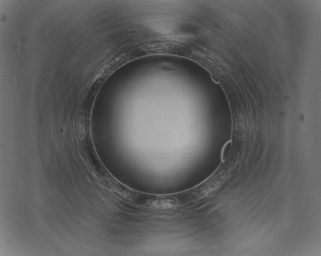 X0000073700751200608171113