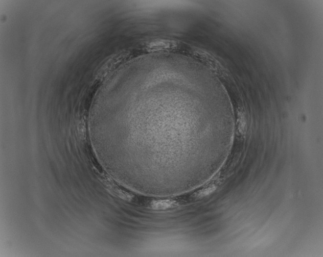 X0000073700753200608171113