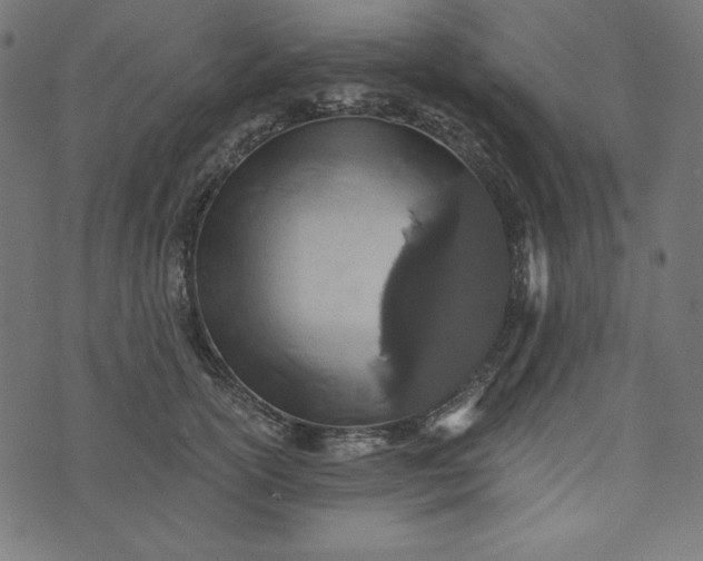 X0000073700754200608171113