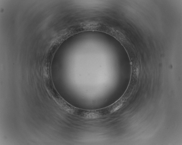 X0000073700755200608171113