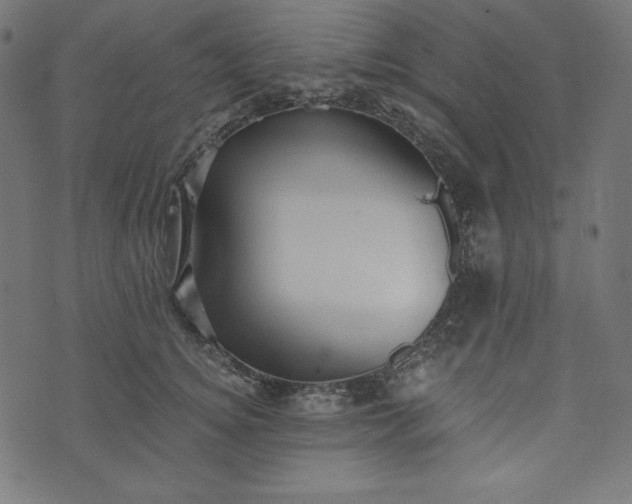 X0000073700756200608171113