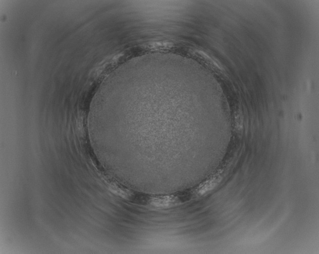 X0000073700757200608171113