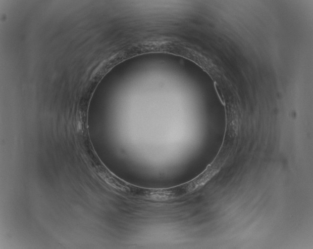 X0000073700758200608171113