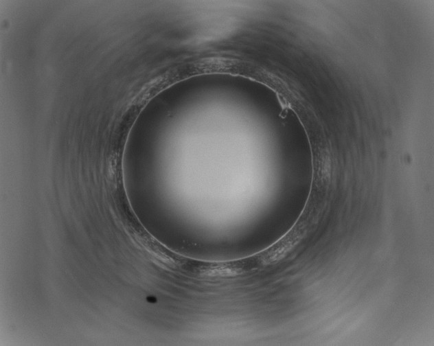 X0000073700759200608171113