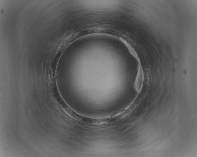 X0000073700760200608171113