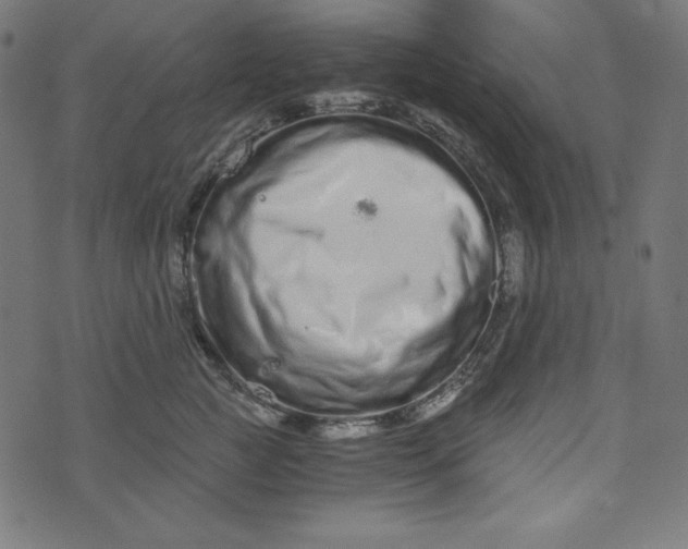 X0000073700761200608171113