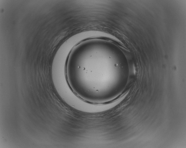 X0000073700762200608171113