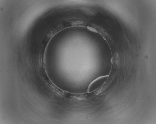 X0000073700763200608171113