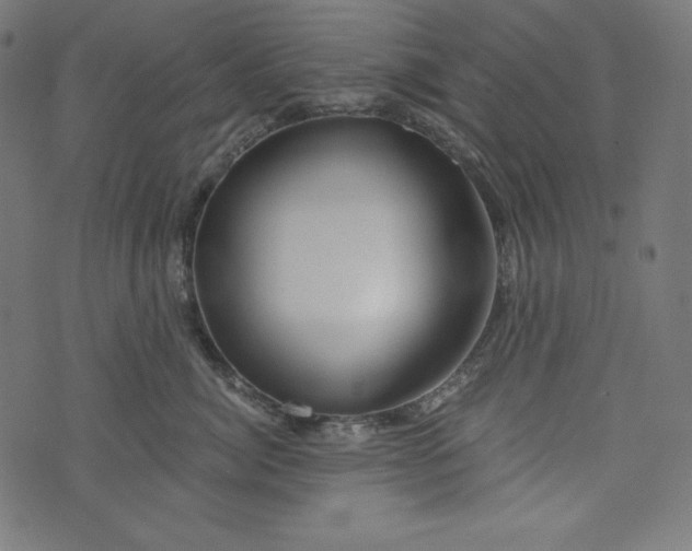 X0000073700764200608171113