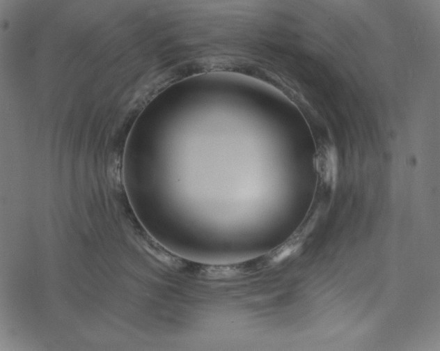 X0000073700766200608171113