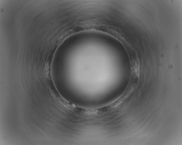 X0000073700767200608171113