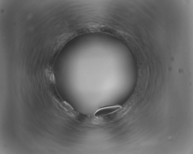 X0000073700768200608171113