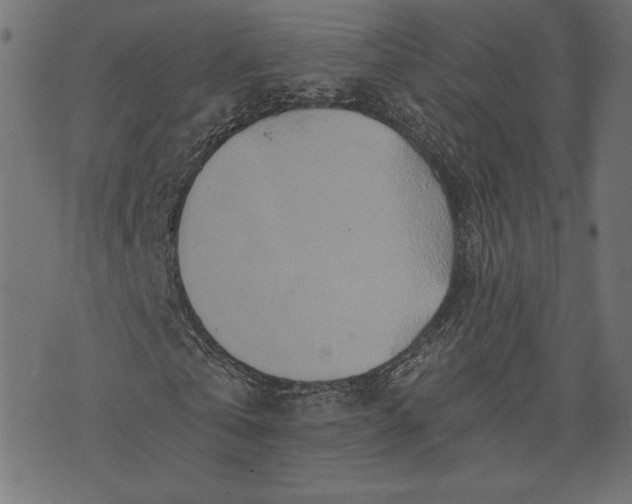 X0000073700769200608171112