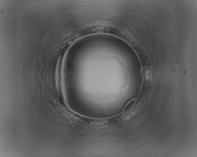 X0000073700771200608171112