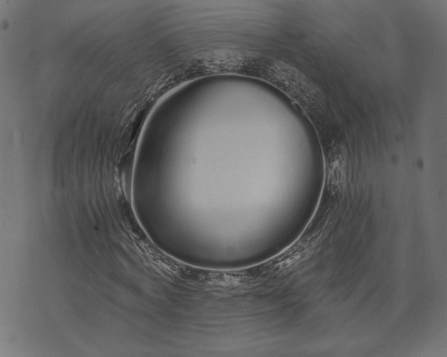 X0000073700772200608171112