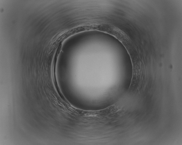 X0000073700773200608171112