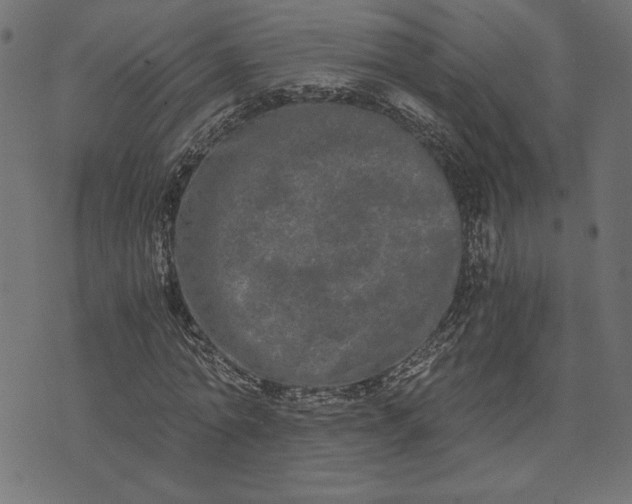 X0000073700774200608171112