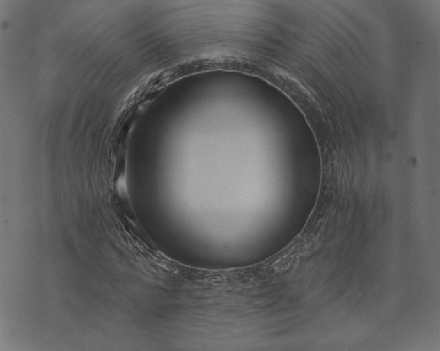 X0000073700776200608171112