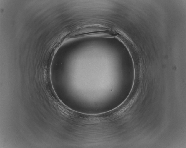 X0000073700777200608171112