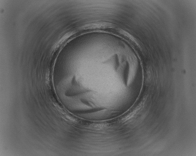 X0000073700778200608171112