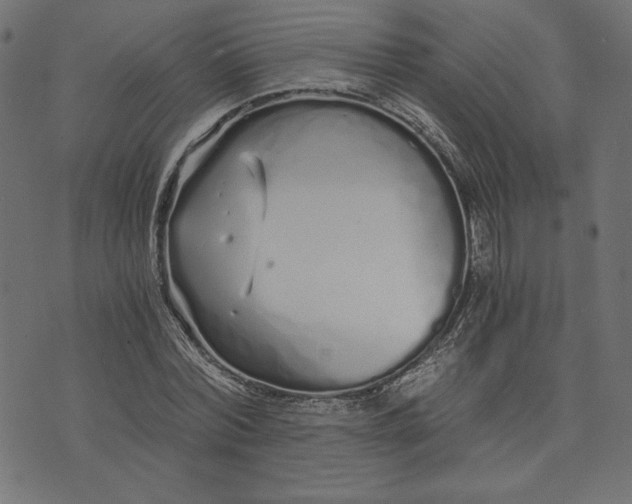 X0000073700780200608171112