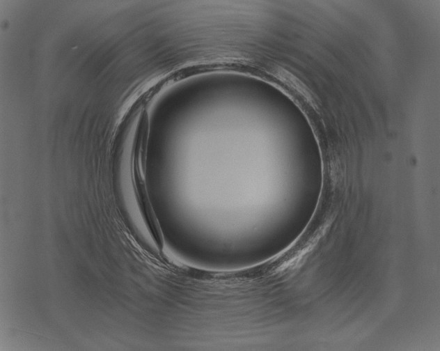 X0000073700781200608171112