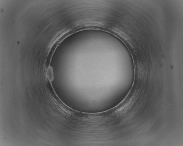 X0000073700782200608171112