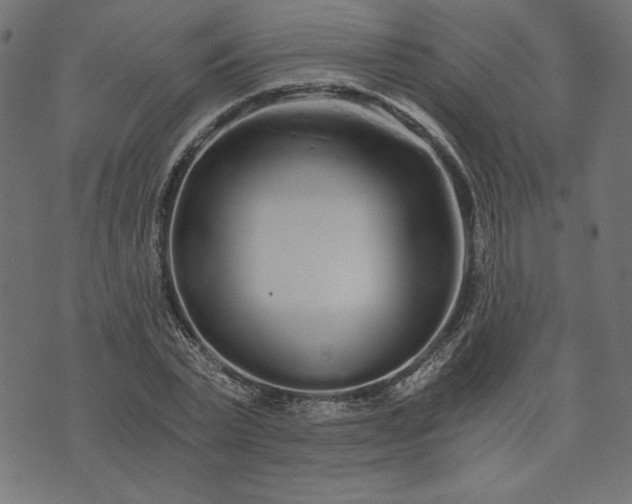 X0000073700783200608171112