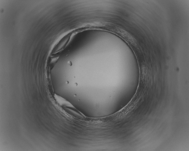 X0000073700784200608171112