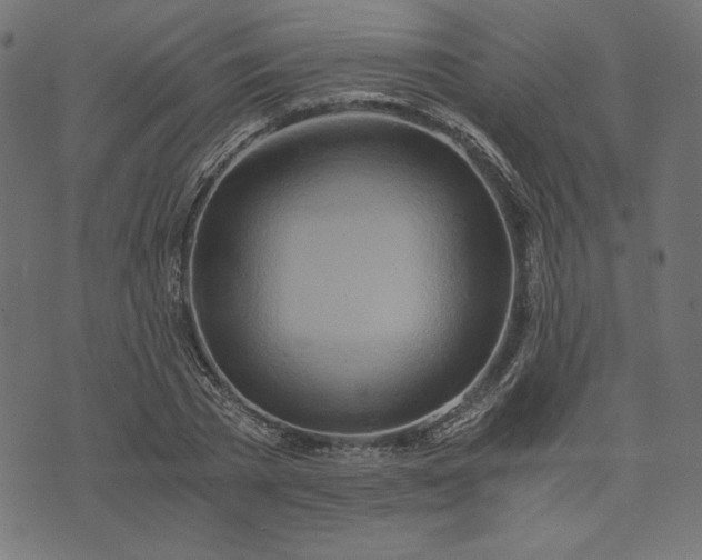 X0000073700785200608171112