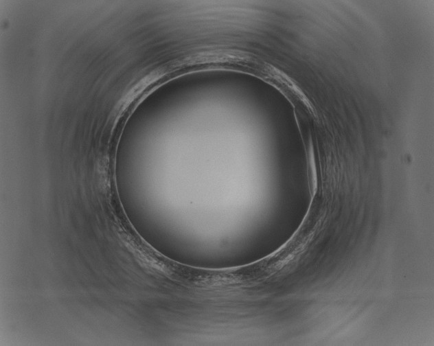 X0000073700786200608171112