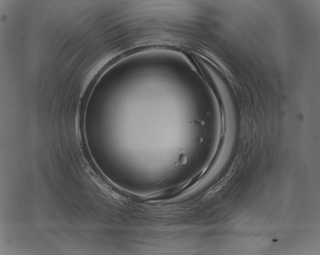 X0000073700788200608171112