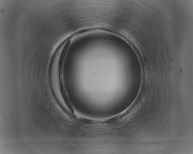 X0000073700789200608171112