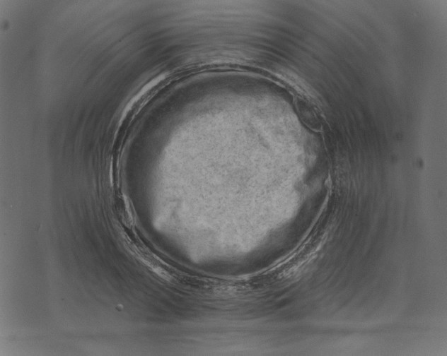 X0000073700790200608171112