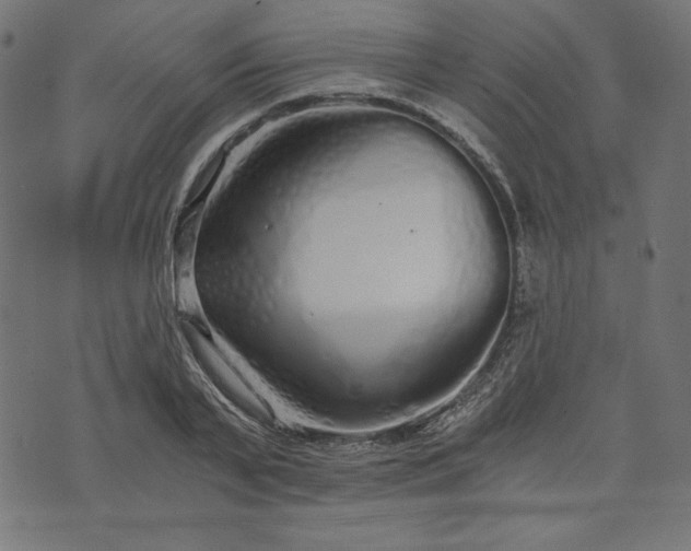 X0000073700791200608171112