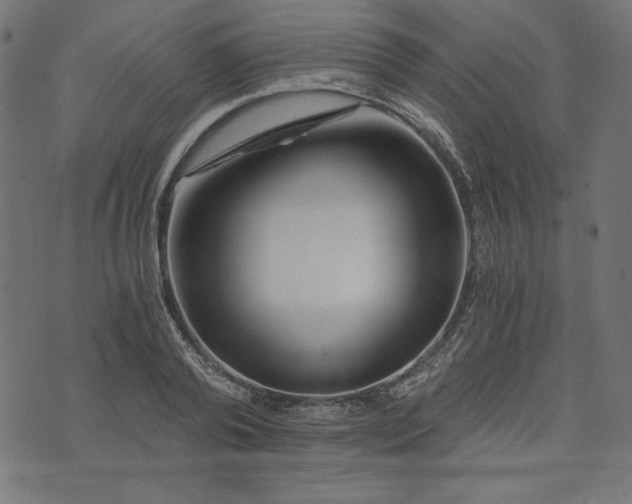 X0000073700792200608171112