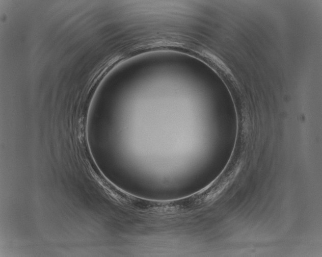 X0000073700793200608171112