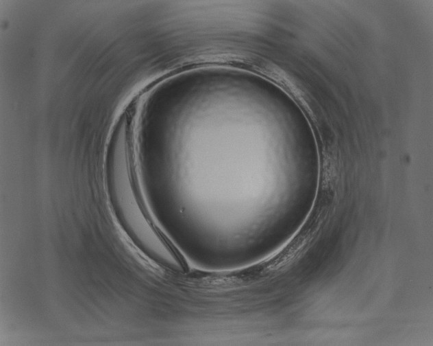 X0000073700795200608171112