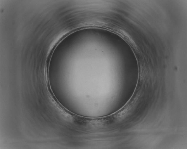 X0000073700796200608171112