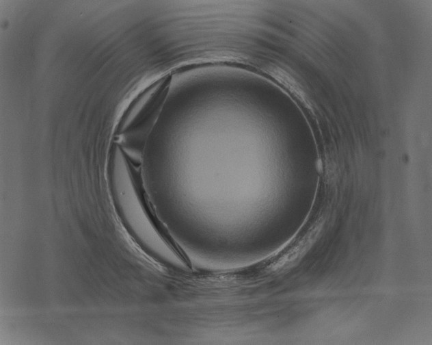 X0000073700797200608171112