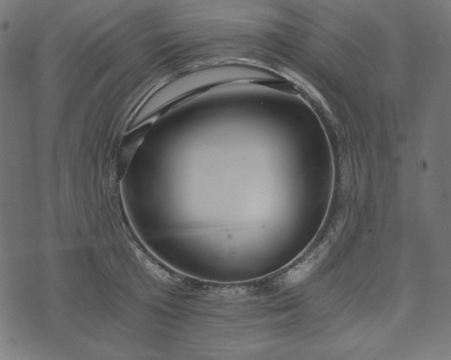 X0000073700801200608171112