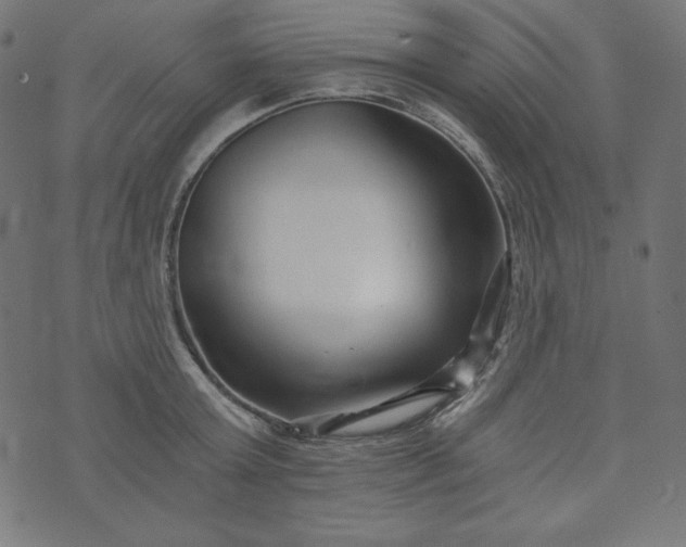 X0000073700803200608171111