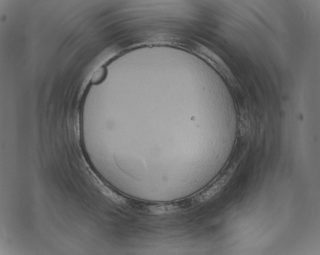 X0000073700804200608171111