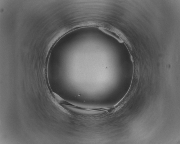 X0000073700805200608171111