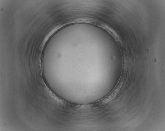 X0000073700808200608171111