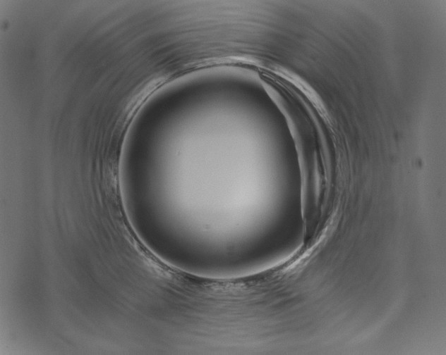 X0000073700809200608171111