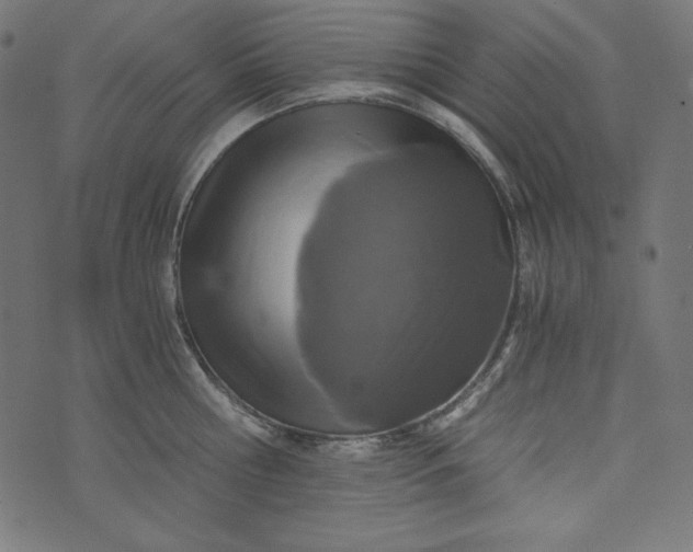 X0000073700810200608171111