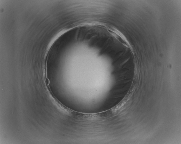 X0000073700811200608171111